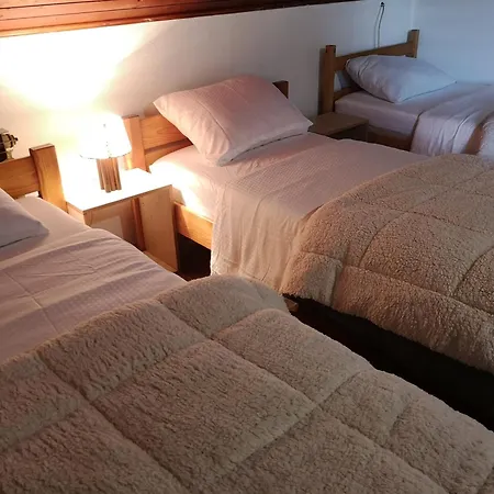 Evergreen באניה לוקה